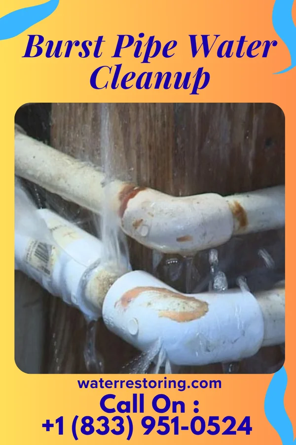Burst Pipe Water Cleanup in Canon, GA