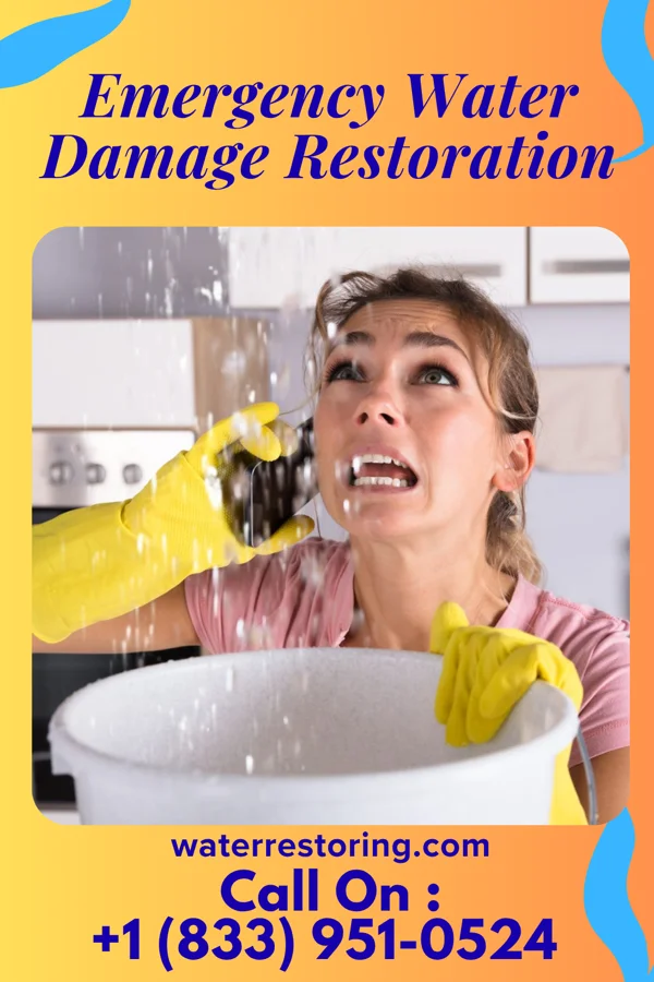 Emergency Water Damage Restoration in Canon, GA